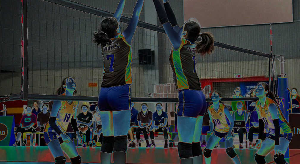 The Empty Stat Sheet: The Cost of Unrecorded Data in Vietnamese Volleyball The Empty Stat Sheet: The Cost of Unrecorded Data in Vietnamese Volleyball