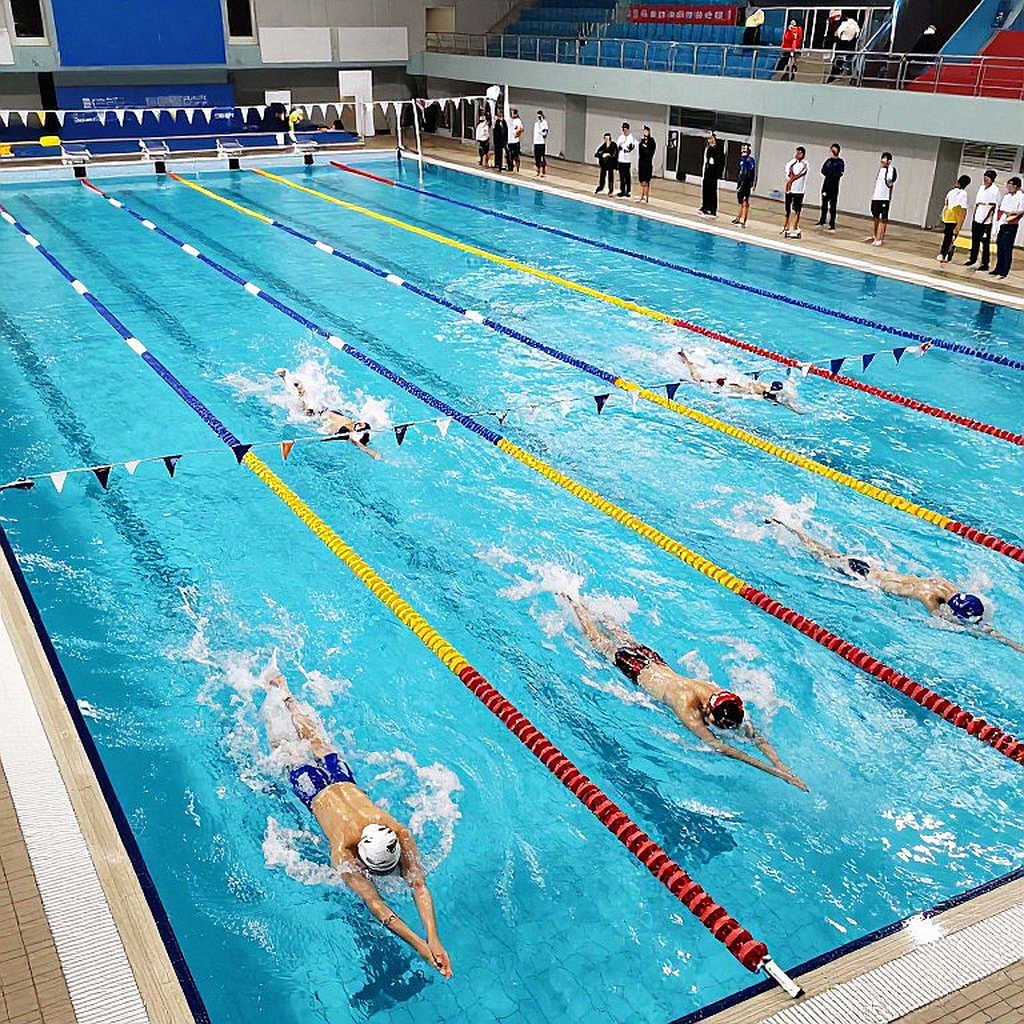 College Swimming League ra mắt: Bản sao thu nhỏ của ISL giữa lòng hệ thống NCAA